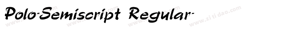 Polo-Semiscript Regular字体转换